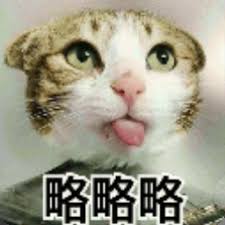 money138 slot Kaisar kucing terkejut dengan apa yang dikatakan Rong Xian